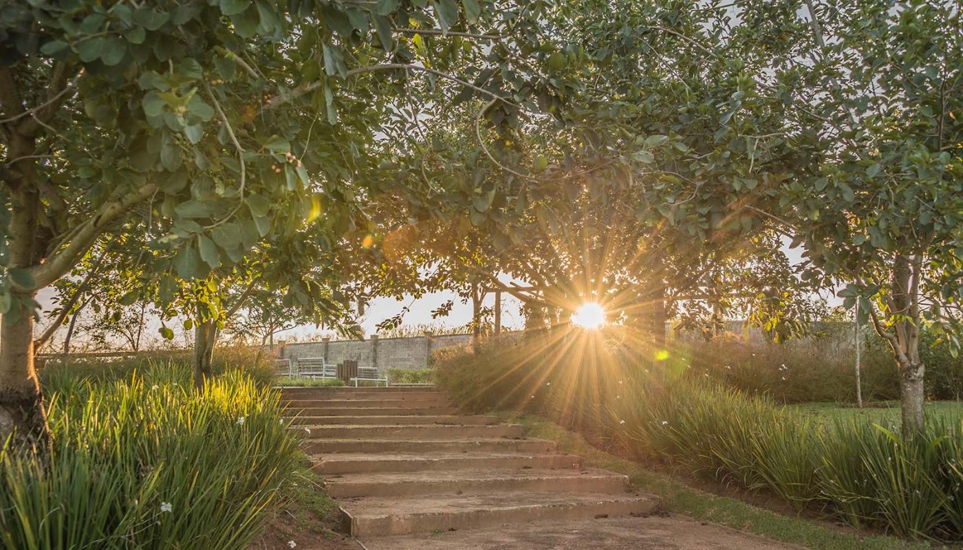Fazenda Dona Carolina