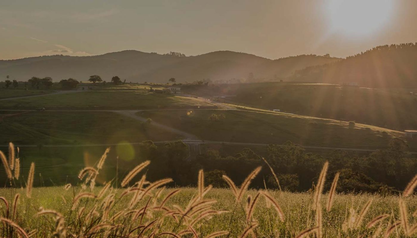 Fazenda Dona Carolina